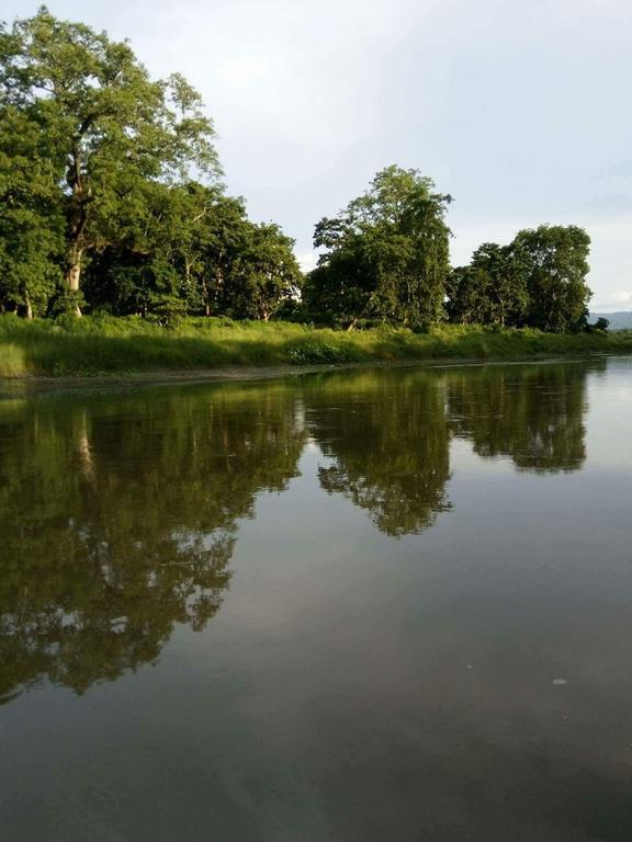 Unique Wild Resort Sauraha Exterior photo