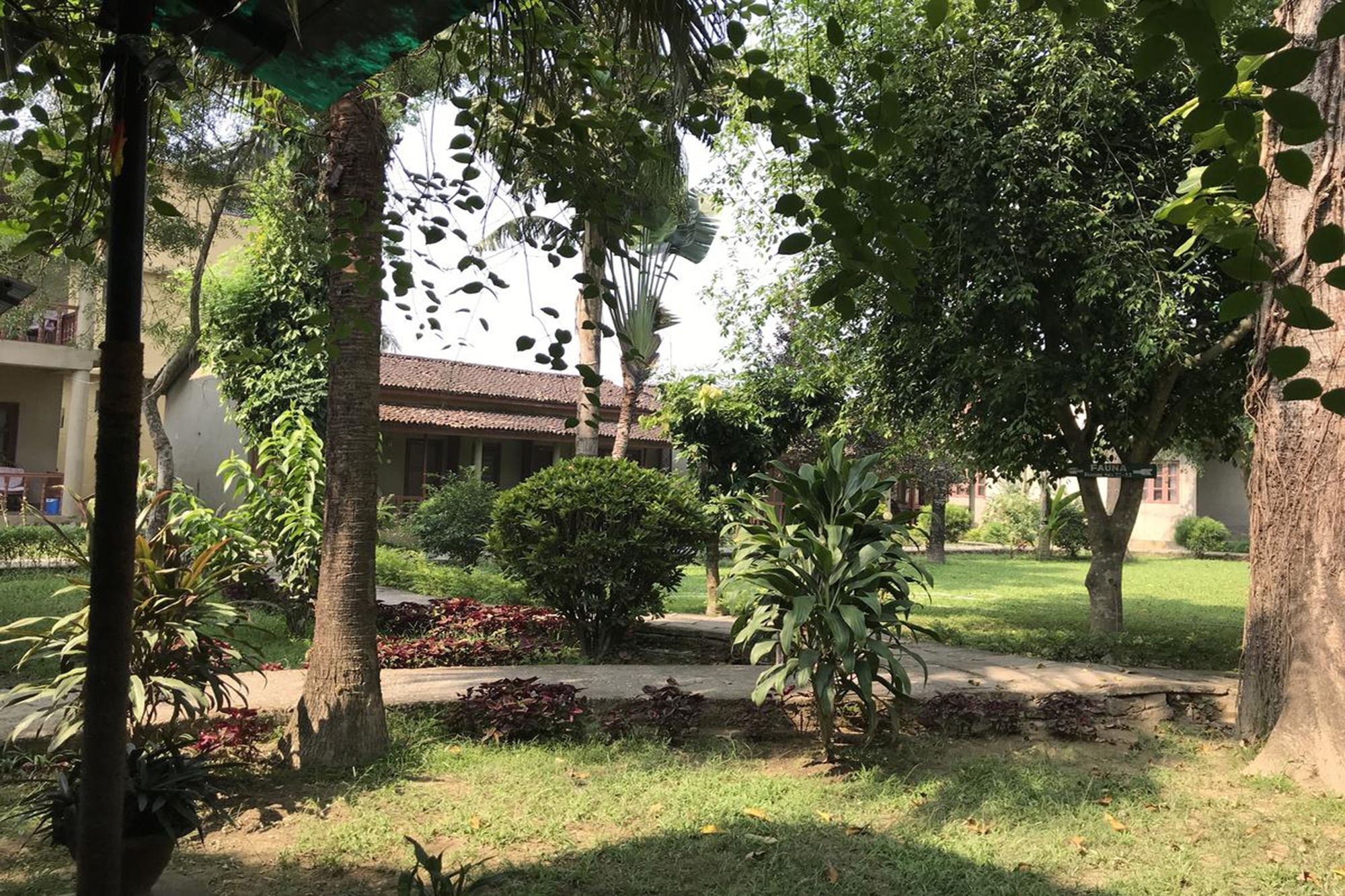 Unique Wild Resort Sauraha Exterior photo