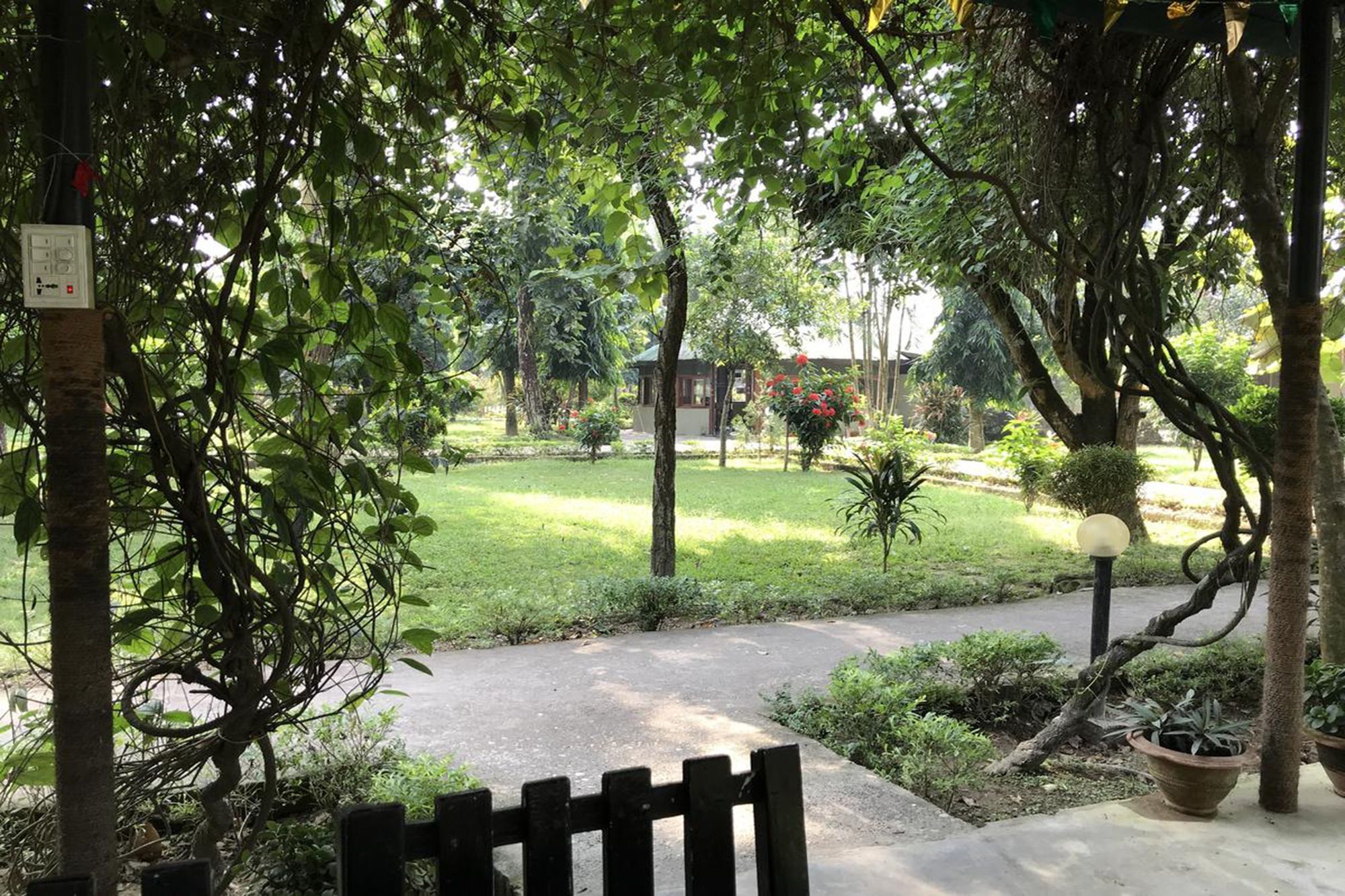 Unique Wild Resort Sauraha Exterior photo