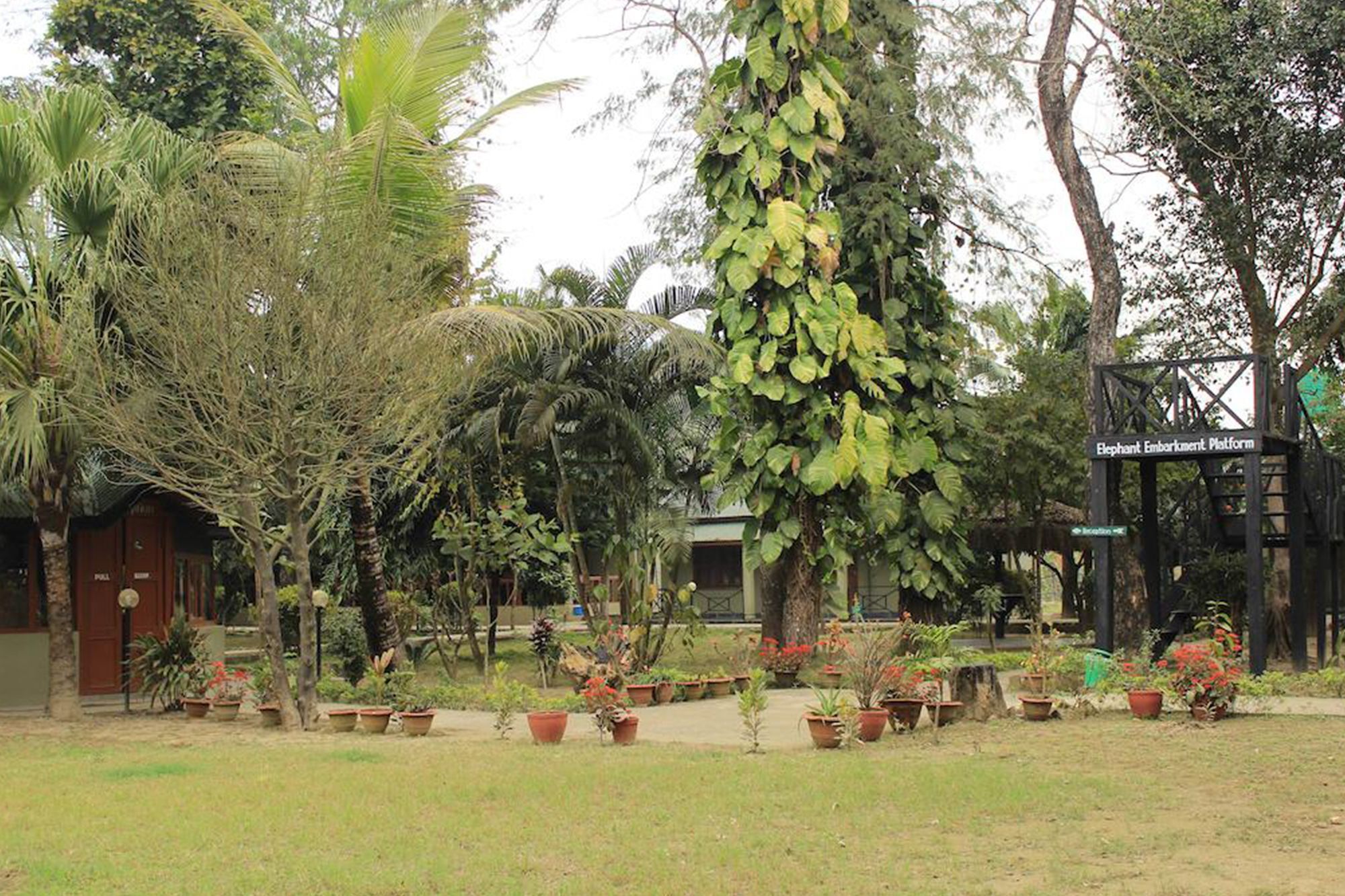 Unique Wild Resort Sauraha Exterior photo