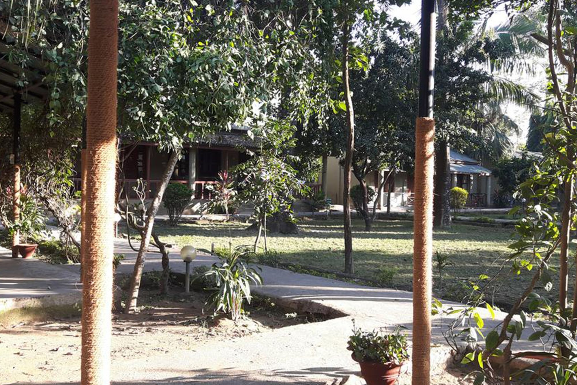 Unique Wild Resort Sauraha Exterior photo