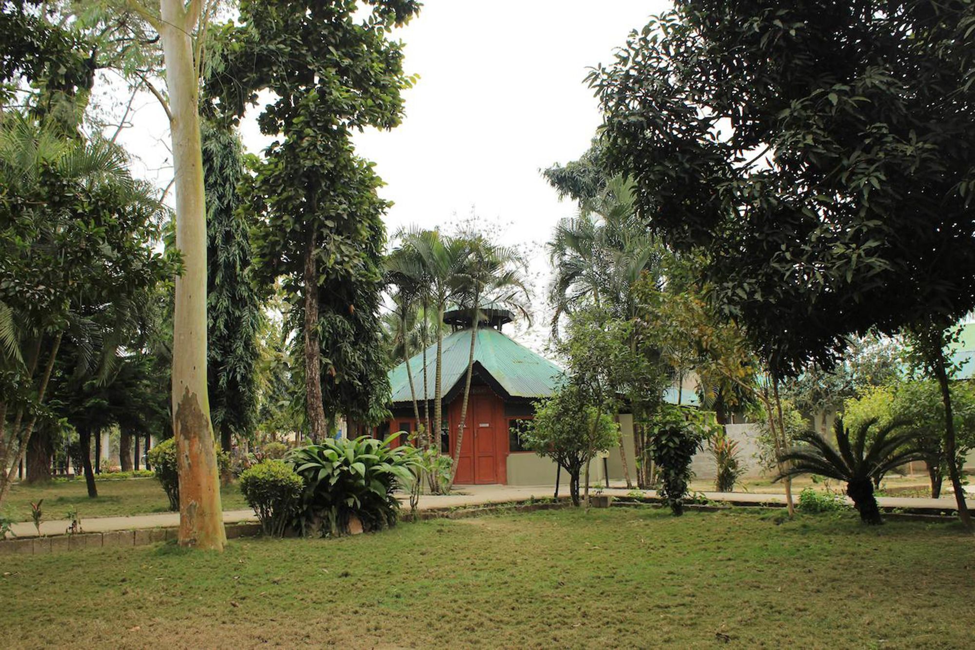 Unique Wild Resort Sauraha Exterior photo